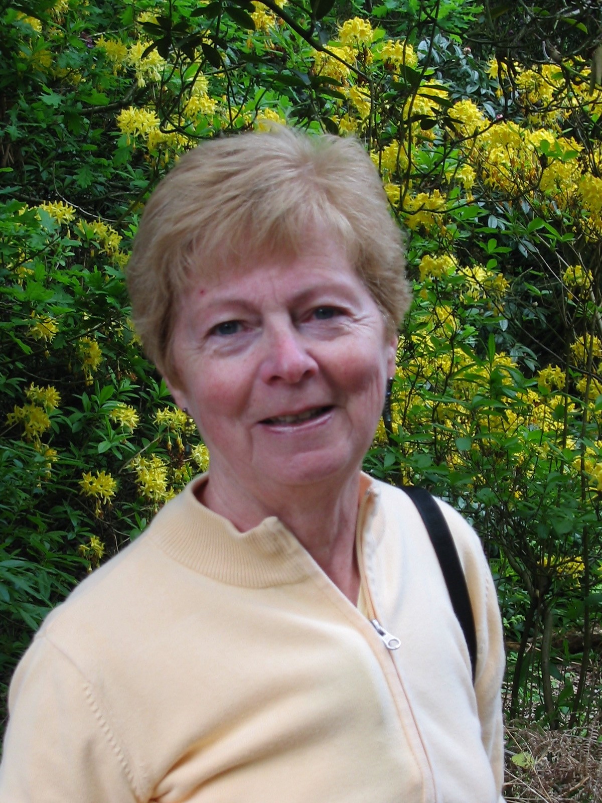 Ginny Campbell