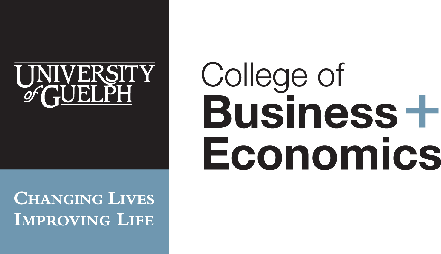 College of Business and Economics logo